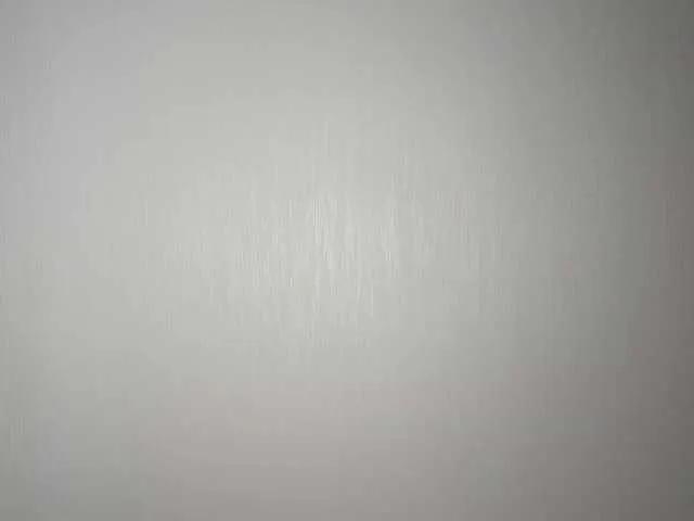 Model2021 from BongaCams