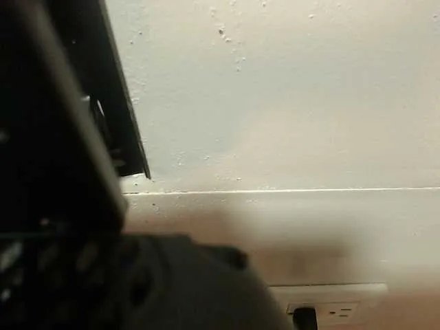 sofiacowperx from BongaCams