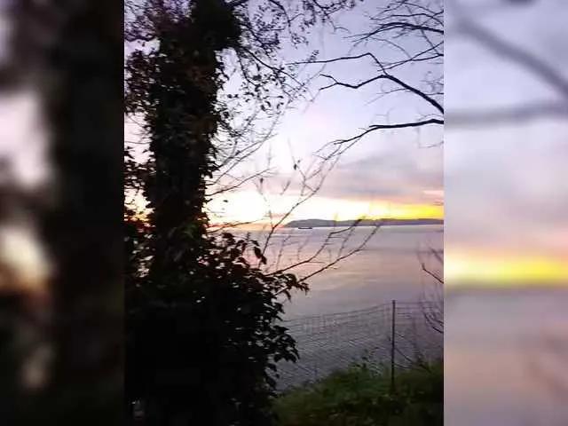 TerriRose from BongaCams