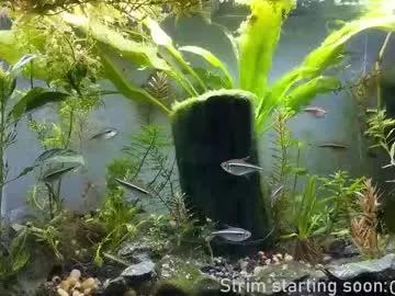 Admire Chaturbate's Booker_baxton booker_baxton from Chaturbate